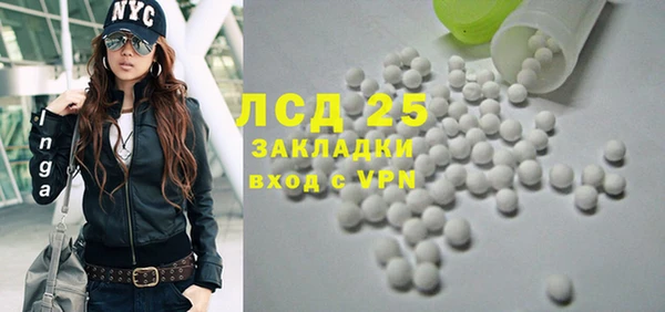 PSILOCYBIN Алзамай