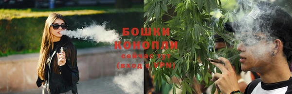PSILOCYBIN Алзамай