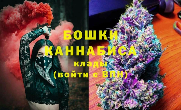 сатива Алексеевка