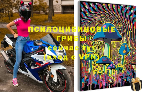 сатива Алексеевка