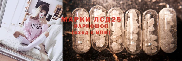 PSILOCYBIN Алзамай