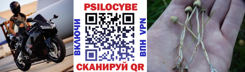 Галлюциногенные грибы ЛСД  это какой сайт  Чадан  купить закладку 